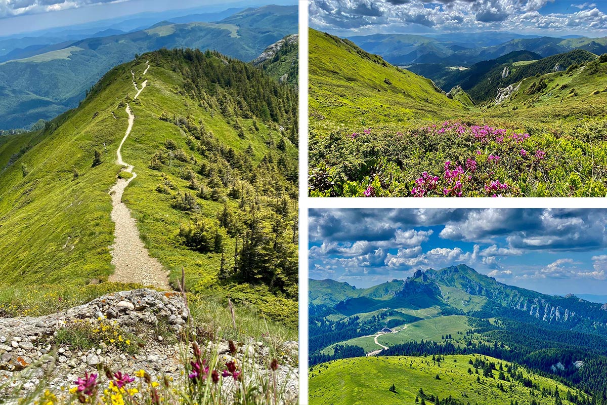 Vârful (Berg) Gropșoarele, Munții Ciucaș